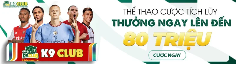 Tin Tức Mới Nhất Từ K9CLUB